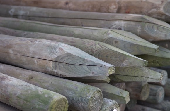 Rondhout CELFIX verduurzaamd (groen)