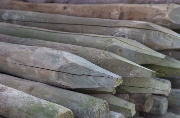 Houten palen CELFIX verduurzaamd (groen)
