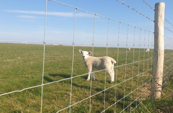 TUIN- EN WEIDEAFSLUITINGEN