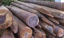 Poteaux en bois ronds créosoté